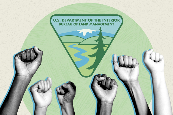 Photo collage of Bureau of Land Management logo and hands raised with fists 