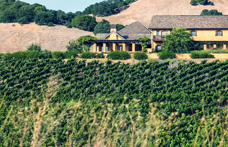 house overlooking vineyards
