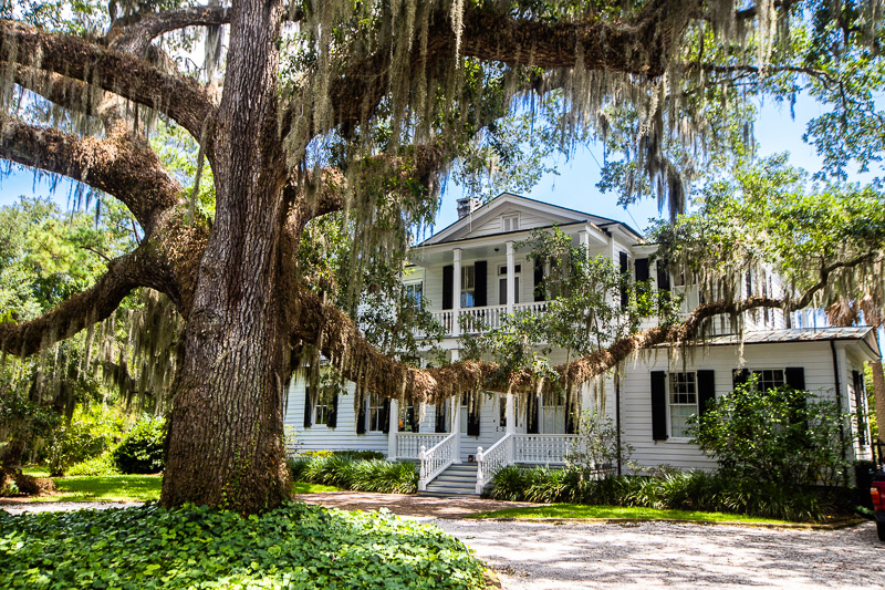 Best things to do in Beaufort, South Carolina