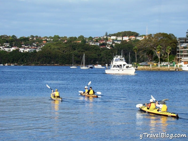 kayaks in water