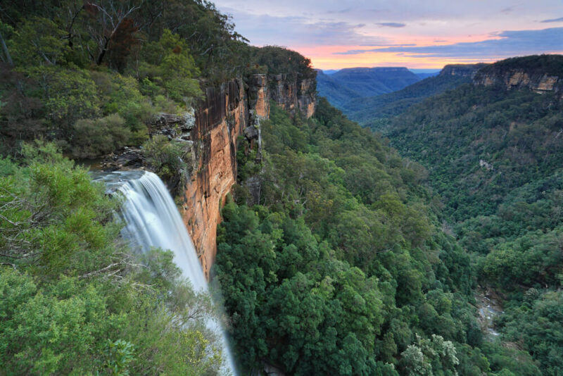 fitzroy falls australia