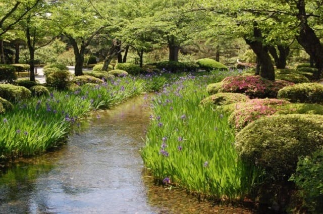 Kenroku-en Japanese Gardens in Kanazawa