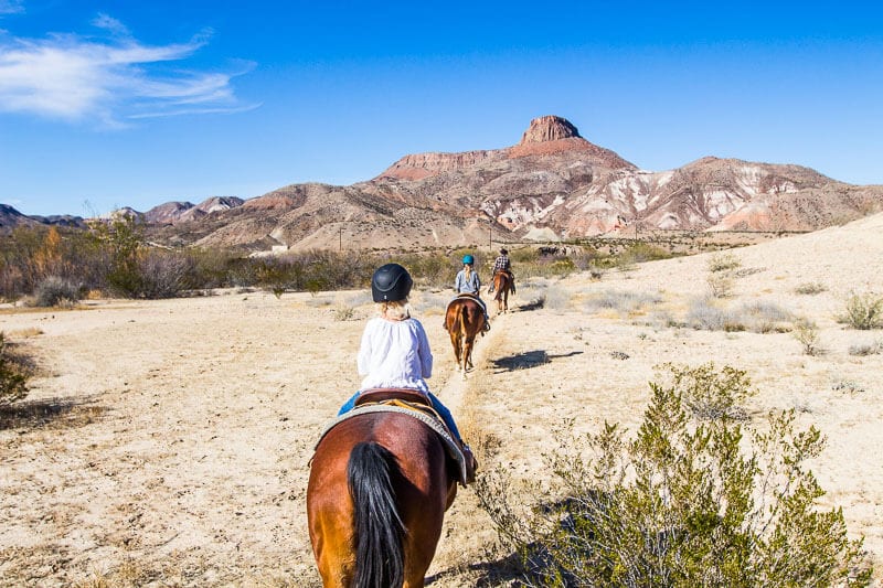 A person riding a horse in a desert