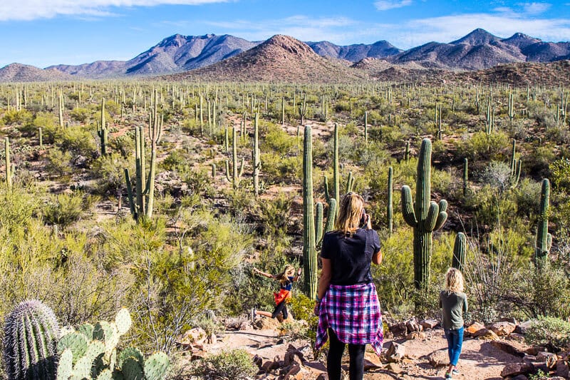 people standing next to cacti