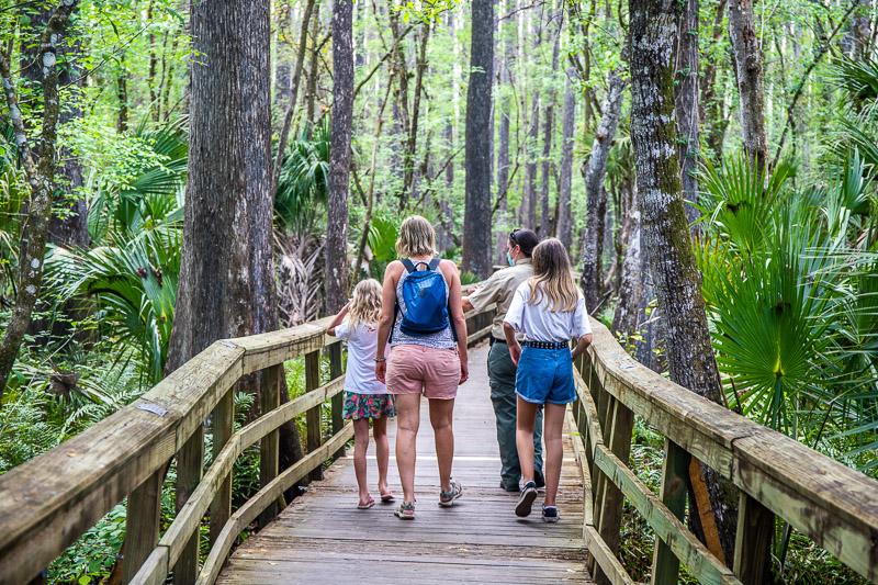 Highlands Hammock State Park, one of the best things to do in Sebring, Florida