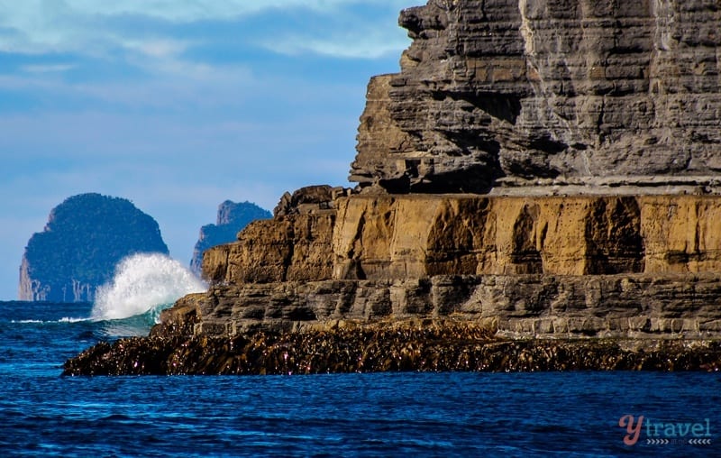 rock cliffs in the ocean
